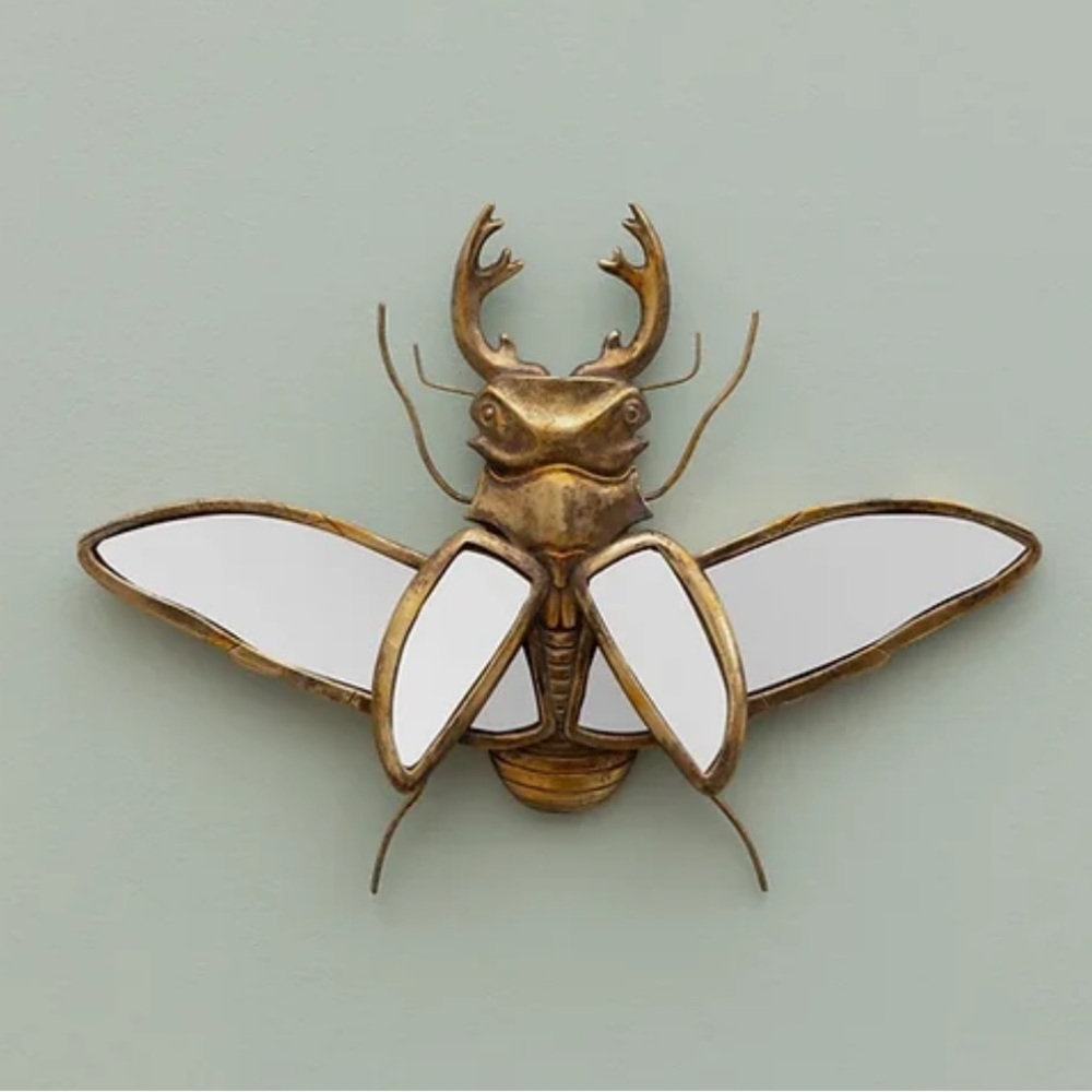 Stag Beetle Mirror